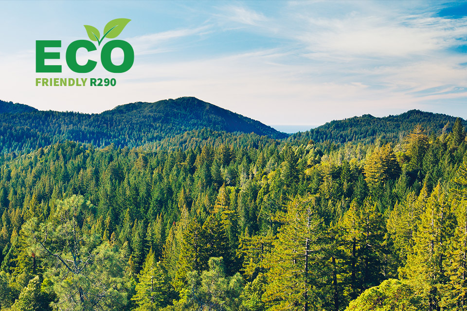 Eco R290