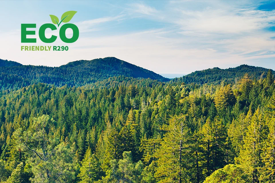 Eco R290