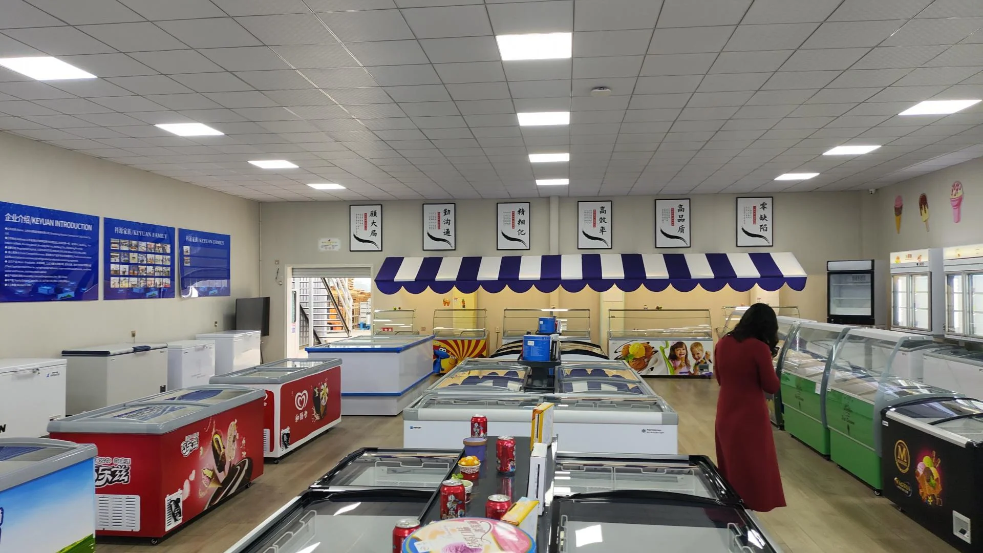 Freezer factory's showroom